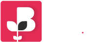 SCC-LOGO-2